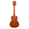 Kadence Concert Ukulele 23" Spring Summer Collection of Ukuleles- Matt