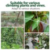 2-Pack Plant Trellis Netting – 5 x 15 ft Polyester