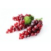 Grape Grape Sample Realistic Food Sample Fruit Fruit Display Ornament