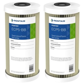 Pentair Pentek ECP5-BB Big Blue Sediment Water Filter, 10-Inch, Whole House Heavy Duty Pleated Cellulose Polyester Replacement Cartridge, 10" x 4.5", White End-Cap, 5 Micron, Pack of 2