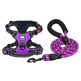PoyPet Dog Harness and Leash Combo, Escape Proof No Pull Vest Harness, with 5 Feet Leash, Reflective Adjustable Soft Padded Pet Harness with Handle for Small to Large Dogs(Purple,S)