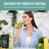 Holistic Bin Japanese Ashitaba Powder – Made with Ashitaba Leaves