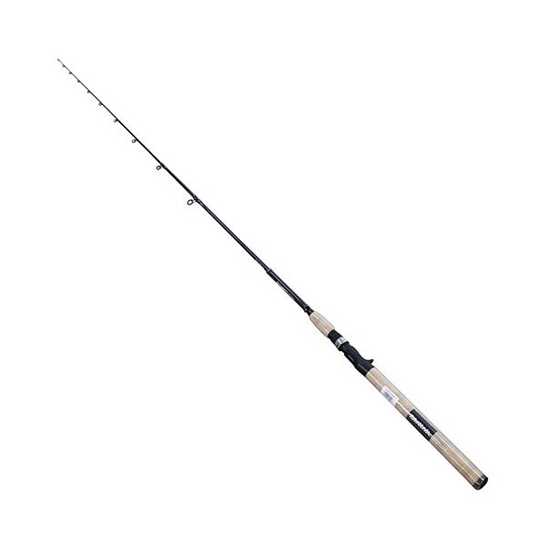 Daiwa ACDPB86TMHFB Accudepth Trolling Rod, 8'6" Length, Telescoping, 10-20 lb