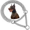 Silver Dog Chain Collar Metal Martingale Anti Chew Training Collars