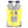 ICE MOUNTAIN Lemon Sparkling Water 16.9oz (16 Pack) FREE ONEDAY