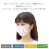 Iris Ohyama 20PN-30PS Disposable Masks, Small, 30 Ct. Set of