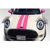 CarLashes® for Mini Cooper (2001-2006) - Car Headlight Eyelashes -