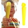 Gearmax 6 Pcs Popsicle Mould Ice Lolly Molds with Lids,DIY