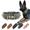 The Mighty Large Spiked Studded Dog Collar - Protect Your