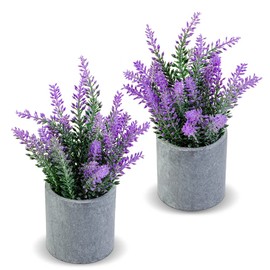 CADNLY Pianta di lavanda artificiale in vaso, fiori di lavanda finti, decorazione viola, pianta in vaso, bagno, camera da letto, cucina, casa colonica, confezione da 2