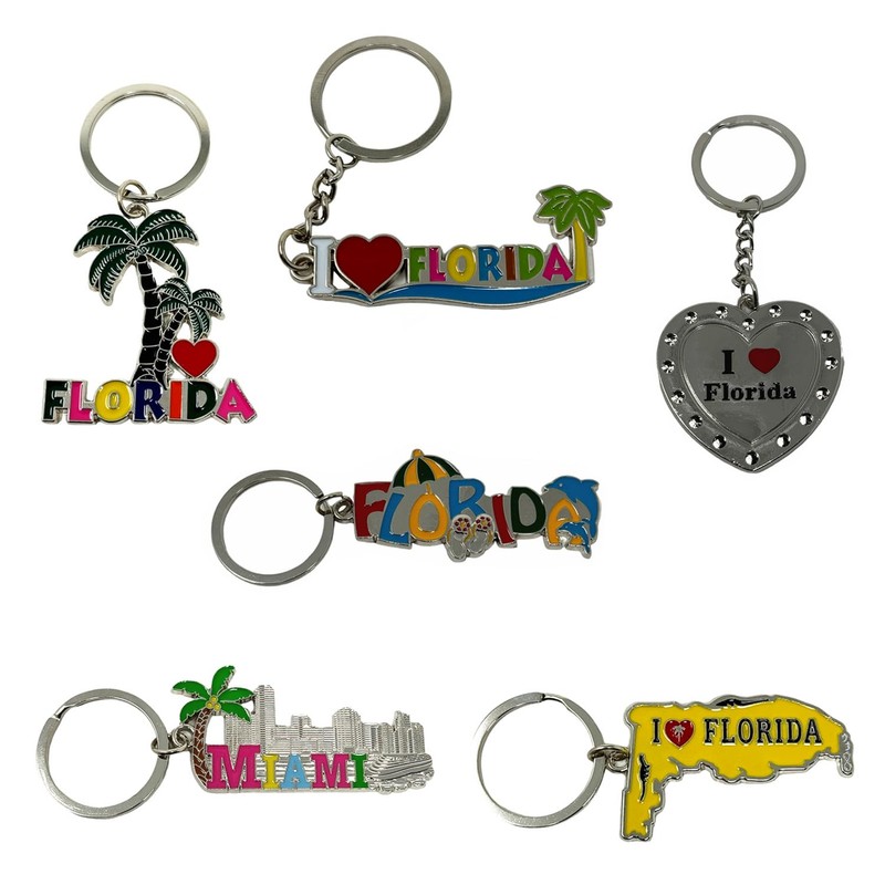 TSY TOOL 12 Pack of Florida State Keychain Metal Ring,