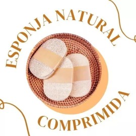 Set Cepillo Corporal Facial Y Esponja Pulpa De Madera Exfo F