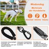 Dog Lead, 1.2 m, 1.5 m, 2 m, 3 m,
