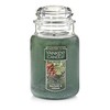 Yankee Candle Balsam & Cedar Scented, Classic 22oz Large Jar