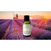 ACEITE ESENCIAL LAVANDA SUIZA, PURO GRADO TERAPEUTICO 15ML