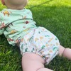 Mama Koala 3.0 Pocket Cloth Diapers for Babies with AWJ