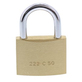 Burg-Wächter 1 Piece 222 50 °C-Line Padlock 6 SB