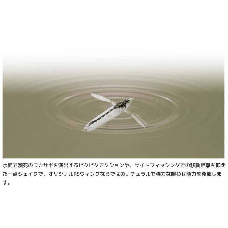 Imakatsu Aventac Roller Bezel #815 Strong Chart / (Standard Color)