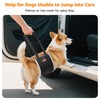 LOOBANI Portable Dog Sling for Back Legs, Hip Support Harness