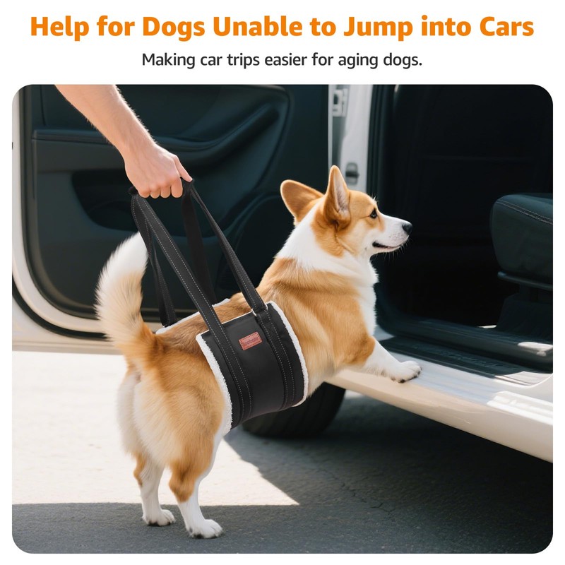 LOOBANI Portable Dog Sling for Back Legs, Hip Support Harness