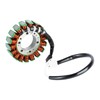 PODAFU Motorcycle Electric Stator Coil 21003-0041 21003-0042 Compatible with Kawasaki