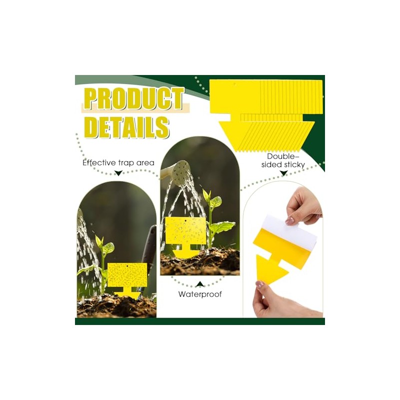 Qualirey 100 Pcs Dual Sided Fruit Fly Traps - Indoor