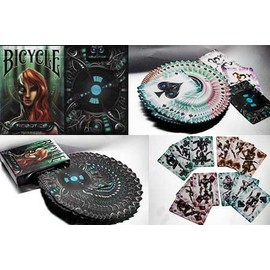 Bicycle Poker – Robotics