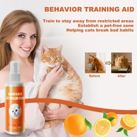 Cat Deterrent Spray, Cat Repellent Spray Indoor, Cat Urination Deterrent Keep Cats Away, Cat Scratch Deterrent Spray Training Aid Indoor and Outdoor for Furniture, Sofas, Rugs, Curtain (2 * 100ML)