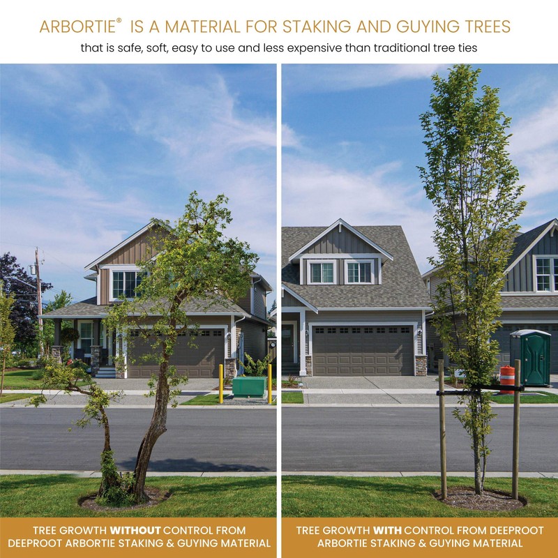DeepRoot ArborTie Tree Straps for Staking and Guying, Flexible Tree