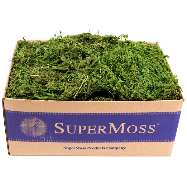 SuperMoss (25325) Forest Moss Preserved, Fresh Green, 3 Pounds