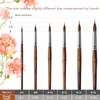 Watercolor Brushes Professional - 6 Pcs Extended Needle Point Brushes