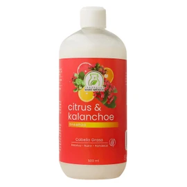 Shampoo Citrus & Kalanchoe Limpieza e Hidratación Productos Mart Mexico 500 Ml