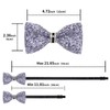 DiBanGu Rhinestone Bow Ties for Men Adjustable Sequin Diamond Pre-tied