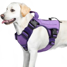 WINGOIN Purple Harness with Handle Tactical Dog Harness Vest for Large Medium Dogs No Pull Adjustable Reflective K9 Military Dog Vest Harnesses for Walking, Hiking, Training(M)