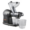 VEVOR Slow Masticating Juicer, 2-Speed Mode Cold Press Juicer Machine