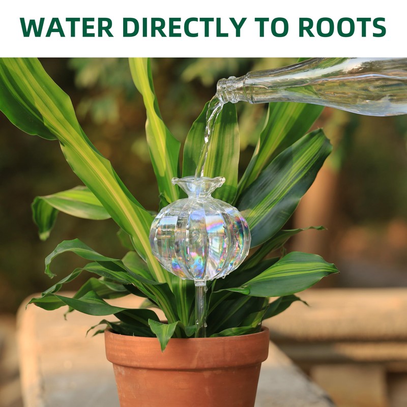Soilagua 10 oz Large Top Fill Cactus Plant Self Watering