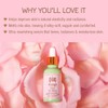 Pixi Beauty Rose Oil Blend Nourishing Face Oil with Rose