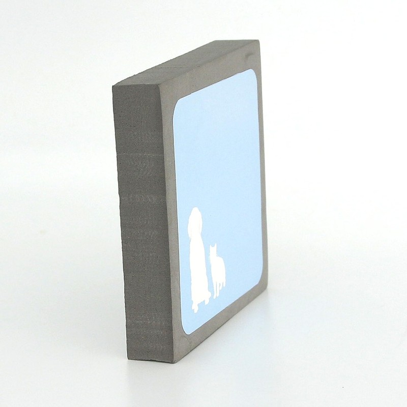 Pet Hair Remover Foam Block for Carpets, Sofas, and Clothes