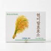 Brown rice fermentation enzyme grain brown rice grain enzyme 90