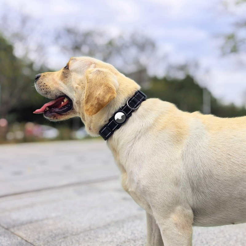 Airtag Dog Collar with QR Code, Reflective Dog Collar with