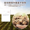 NICHIGA(ニチガ) 沖縄県産 紫ウコン 粒 150ｇ 約750粒 栽培期間中農薬不使用 ガジュツ ミネラル豊富 約75日分