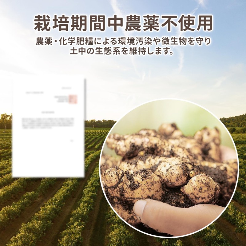 NICHIGA(ニチガ) 沖縄県産 紫ウコン 粒 150ｇ 約750粒 栽培期間中農薬不使用 ガジュツ ミネラル豊富 約75日分