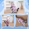 Cat Recovery Suit Female, Breathable Cat Onesie After Surgery Female