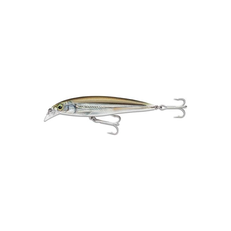 Rapala X-Rap Saltwater 10 Mangrove Minnow