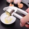 Garlic Press, Stainless Steel Garlic Press, Home Garlic Press, Stainless