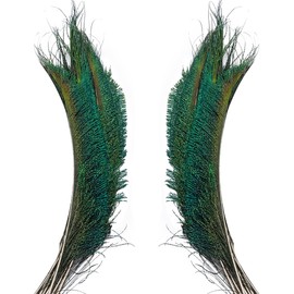 50pcs Natural Peacock Sword Feathers 12-14 Inch for Home Decor Wedding Party Vase Decoration Hat Costume DIY Crafts Floral Arrangements Christmas Tree Ornaments (25 Left & 25 Right)