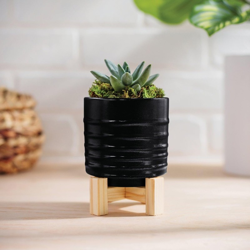 Krylon KSCB026 Short Cuts Brush-On Paint, 1-Ounce, Gloss Black