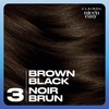 Clairol Nice'n Easy Permanent Hair Dye, 3 Brown Black Hair