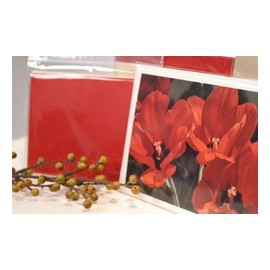 IGC Crystal Clear 12.25" x 12.25" Cello/Cellophane Bags - Resealable Lip N Tape - 100 Bags