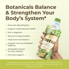 Lifestyles Intra Herbal Juice Drink – Botanical Beverage for Immune
